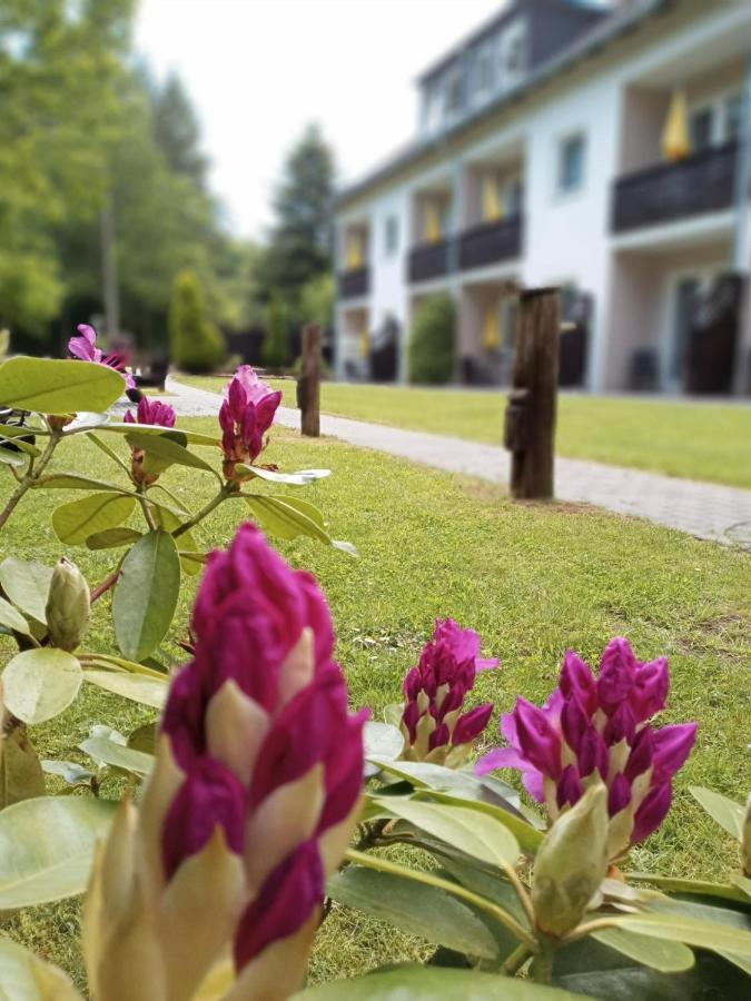 Gaestehaus Falkenhof Westensee المظهر الخارجي الصورة